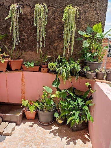 Sobrado, 2 quartos, 250 m² - Foto 1