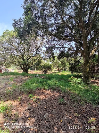 Terreno à venda - Foto 3