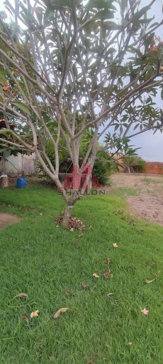 Terreno à venda, 1000m² - Foto 10