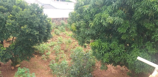 Terreno à venda - Foto 4