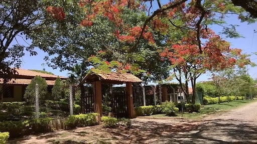 Chácara à venda com 3 quartos, 540m² - Foto 1