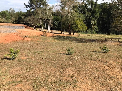 Terreno à venda - Foto 2