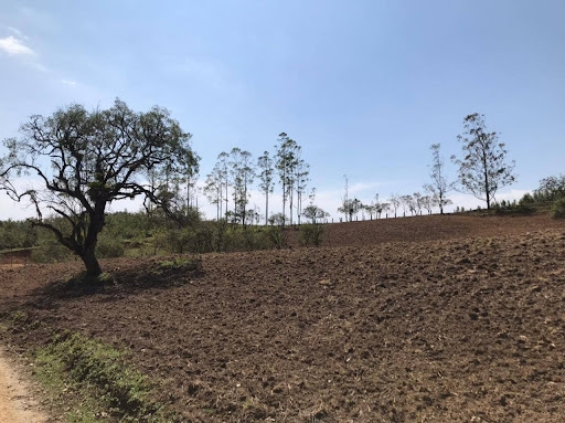 Terreno à venda - Foto 3