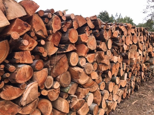 Terreno à venda - Foto 5