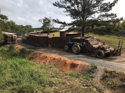 Terreno à venda - Foto 6
