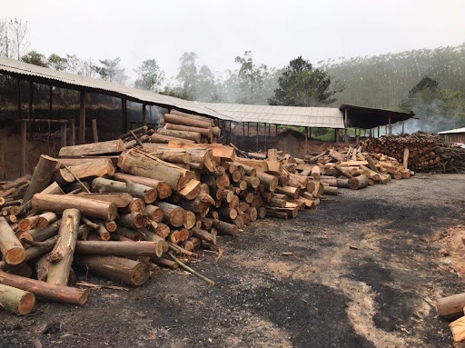 Terreno à venda - Foto 12