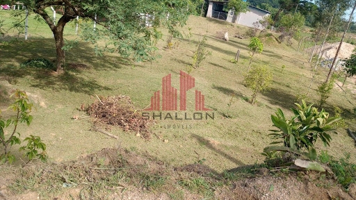 Sítio à venda com 2 quartos, 1340m² - Foto 7