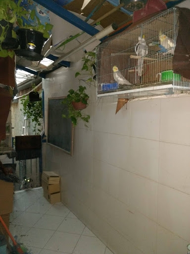 Casa à venda com 4 quartos, 175m² - Foto 18