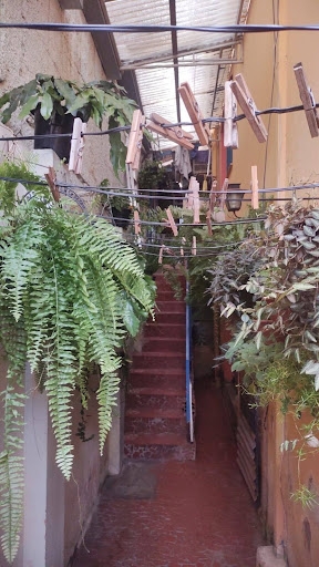 Casa à venda com 4 quartos, 175m² - Foto 27