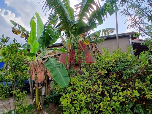 Chácara, 3 quartos, 1020 m² - Foto 4