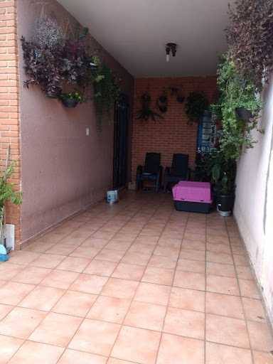 Casa à venda com 4 quartos, 175m² - Foto 34