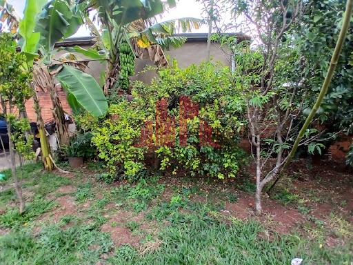 Chácara, 3 quartos, 1020 m² - Foto 10