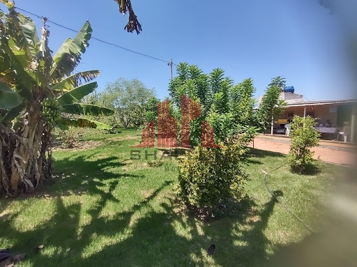 Terreno à venda, 2000m² - Foto 5