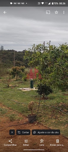 Terreno à venda, 2000m² - Foto 9