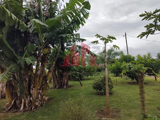 Terreno à venda, 2000m² - Foto 12