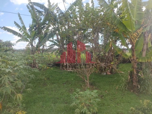 Terreno à venda, 2000m² - Foto 13