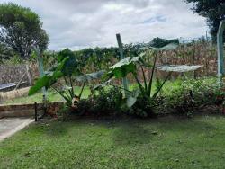 #CH0015 - Chácara para Venda em Sarapuí - SP