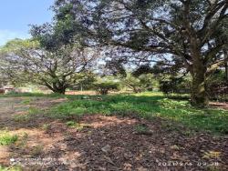 #273 - Chácara para Venda em Salto de Pirapora - SP - 3