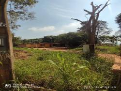 Chácara para Venda em Salto de Pirapora - 4