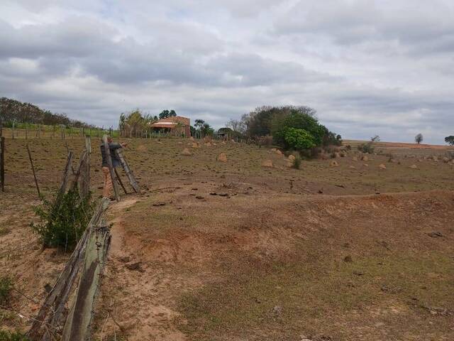 #AR-0002 - Área para Venda em Porto Feliz - SP - 3