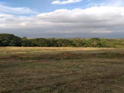 Sítio para Venda em Araçoiaba da Serra - 4
