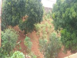 #TE0022 - Terreno para Venda em Sorocaba - SP - 2