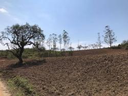 #AR0001 - Área para Venda em Pilar do Sul - SP - 3
