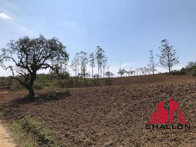 #AR0001 - Área para Venda em Pilar do Sul - SP