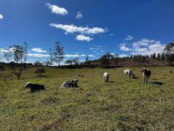 #AR0001 - Área para Venda em Pilar do Sul - SP - 1
