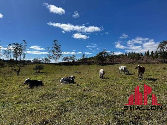#AR0001 - Área para Venda em Pilar do Sul - SP