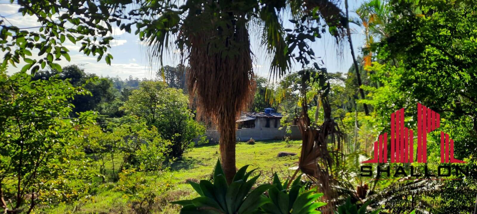 Sítio, 3 quartos - Foto 44